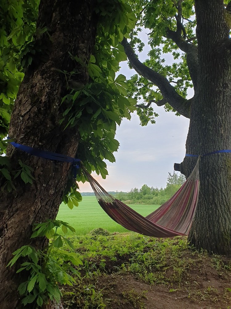 отлежатся'с?