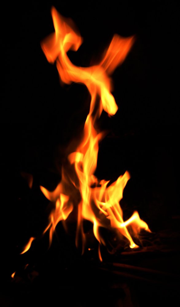 Photograph by Susobhan Biswas