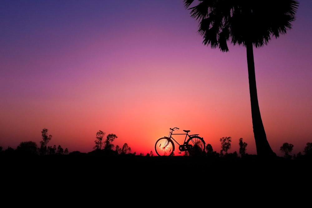 Photograph by Pabitra Ray