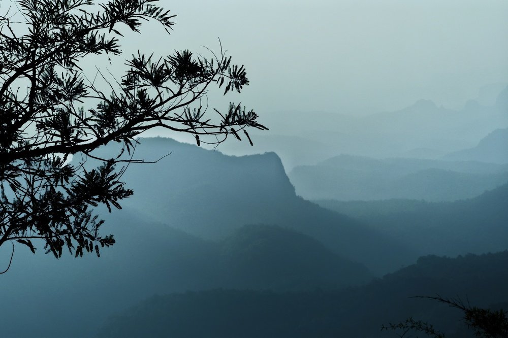 Foggy