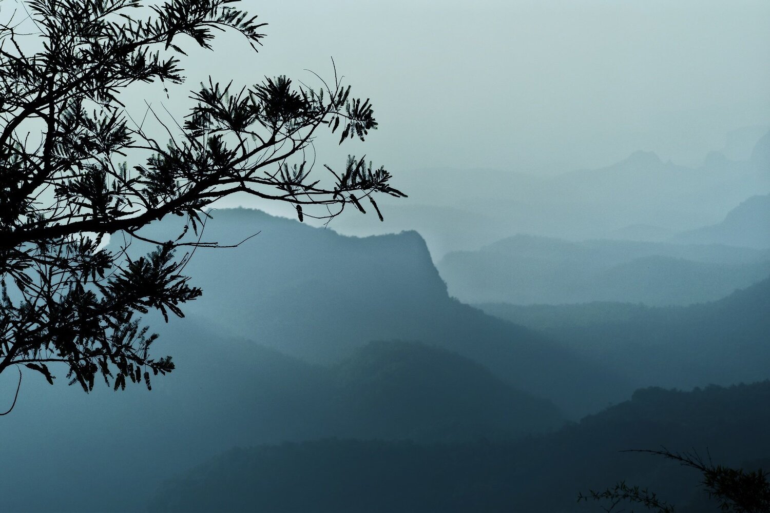 Foggy