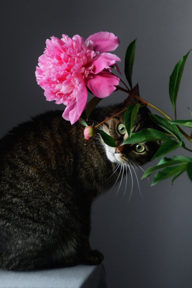 Photograph by Татьяна Скляр