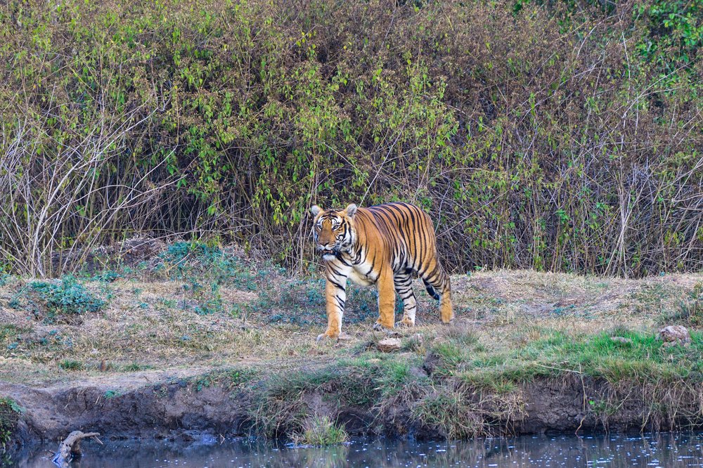 Photograph by Uthaiah Pattachravanda