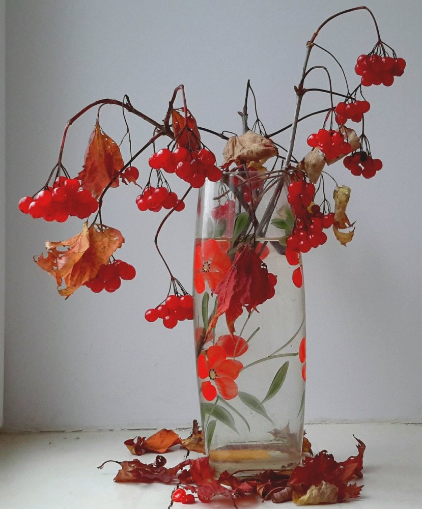 Photograph by Борис Каширин