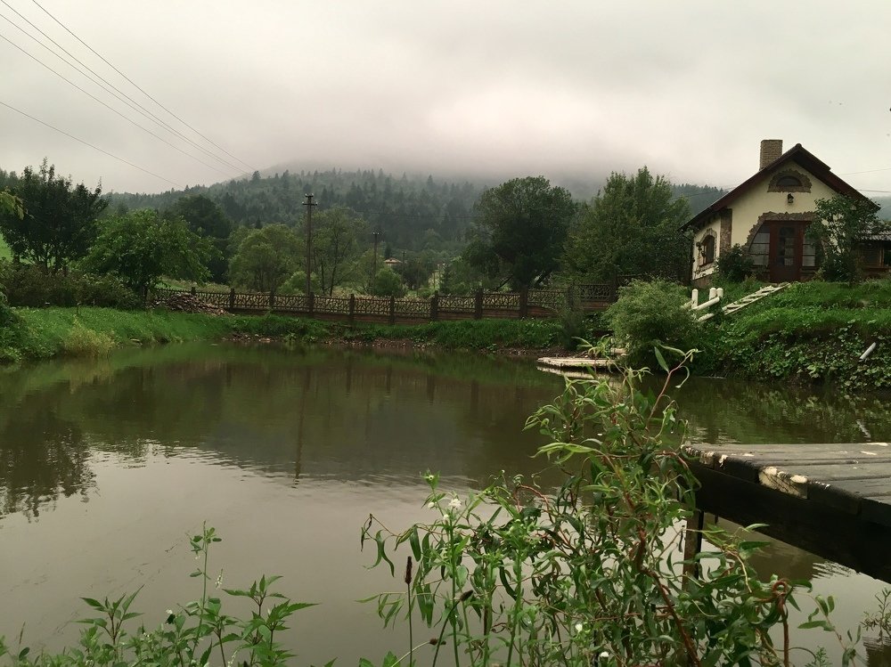 «После дождя»