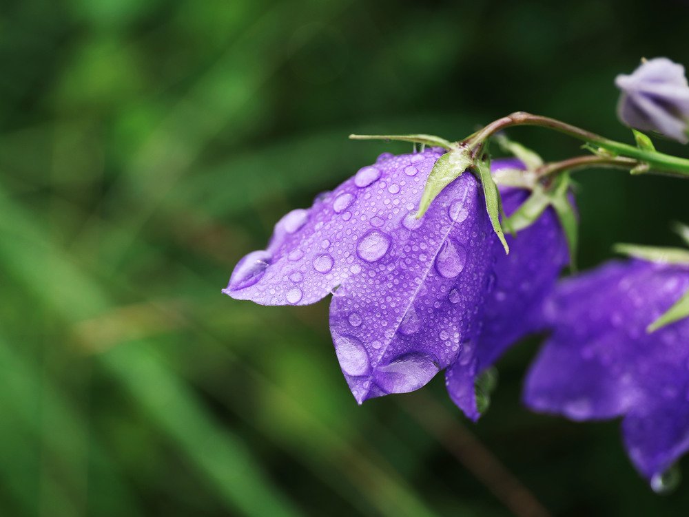 Photograph by Виктория Кузина