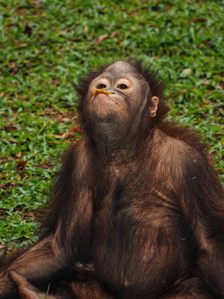 Photograph by Bario hadiprayogo