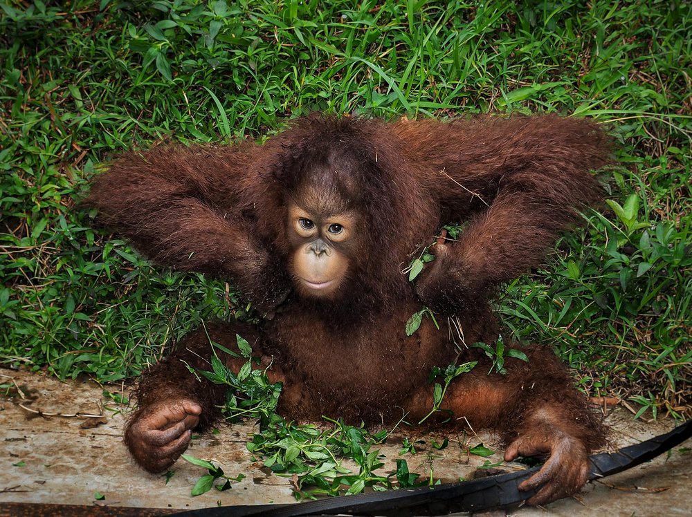 Photograph by Bario hadiprayogo