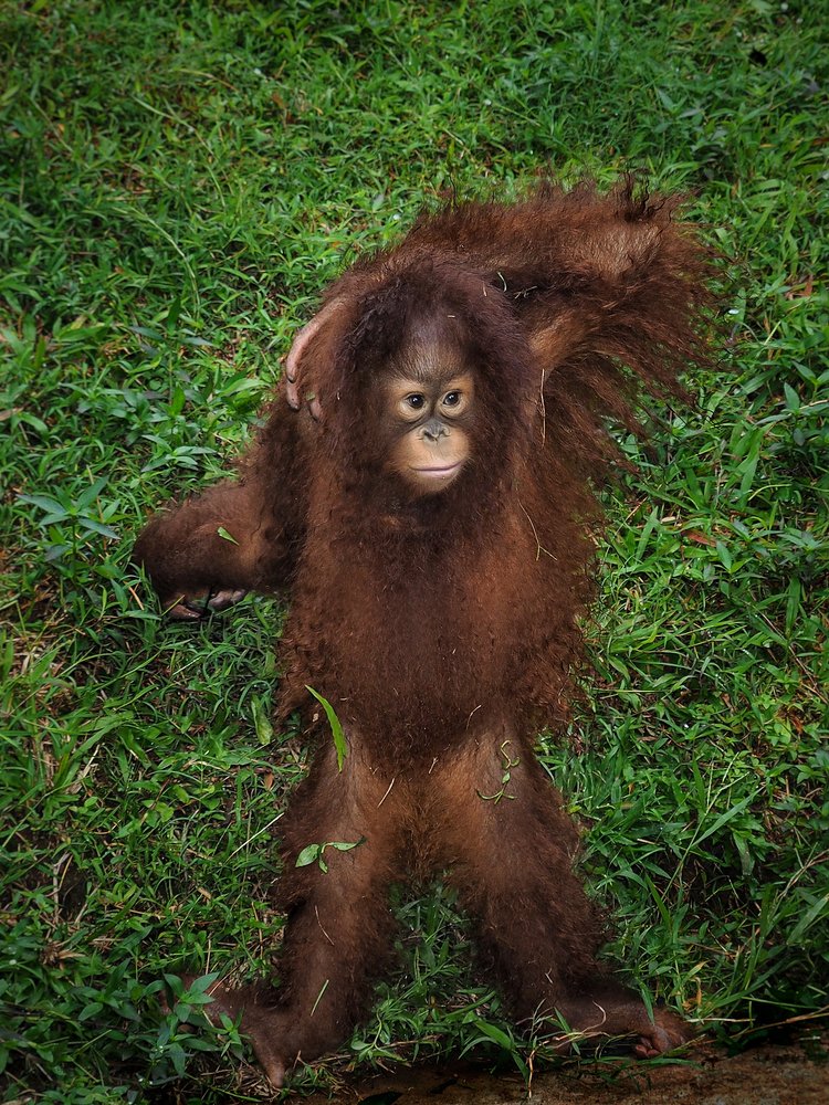 Photograph by Bario hadiprayogo