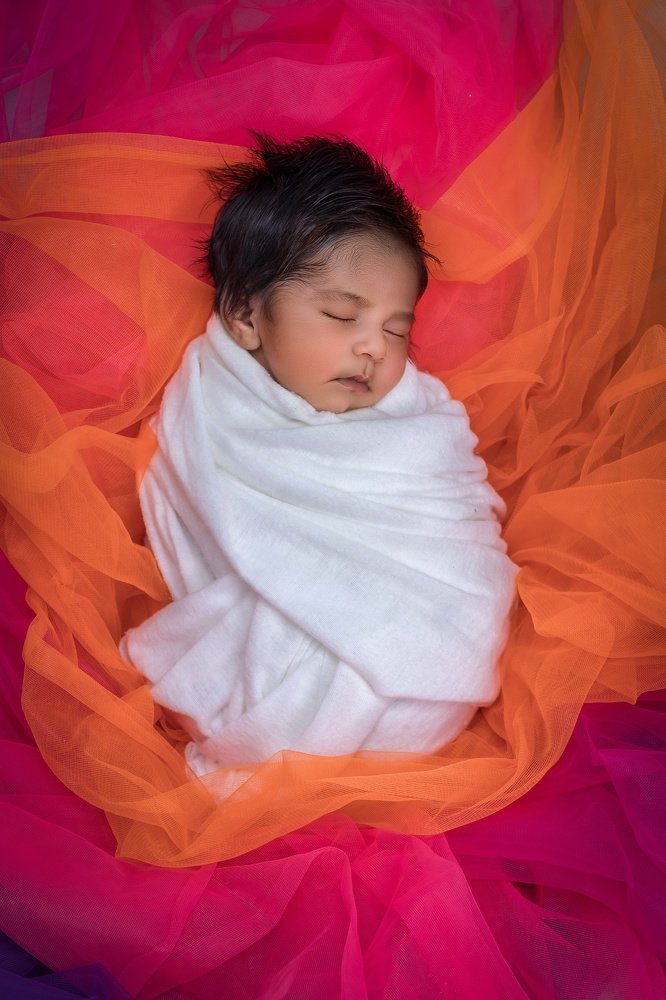 Photograph by Harald Ferber