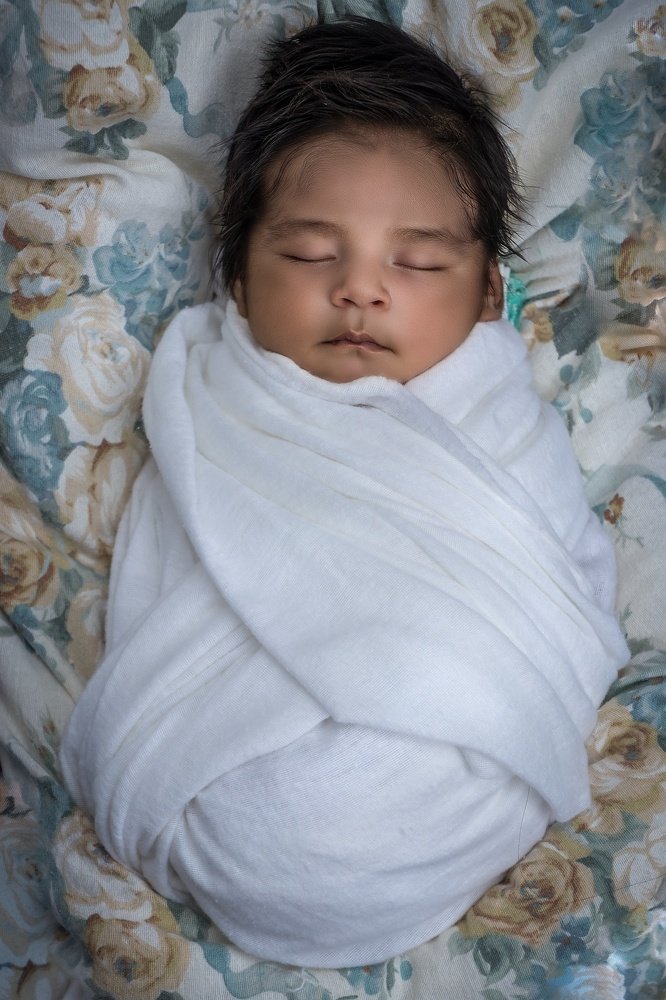 Photograph by Harald Ferber