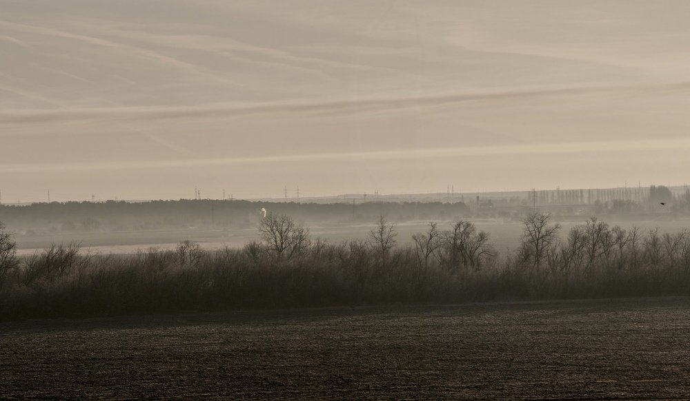 Утренний туман