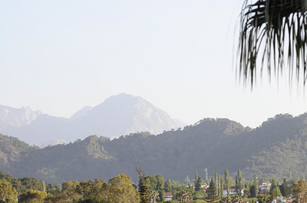 Photograph by Андрей Букин