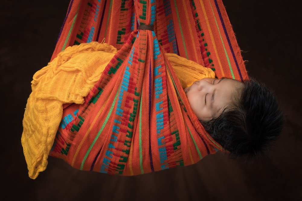 Photograph by Harald Ferber