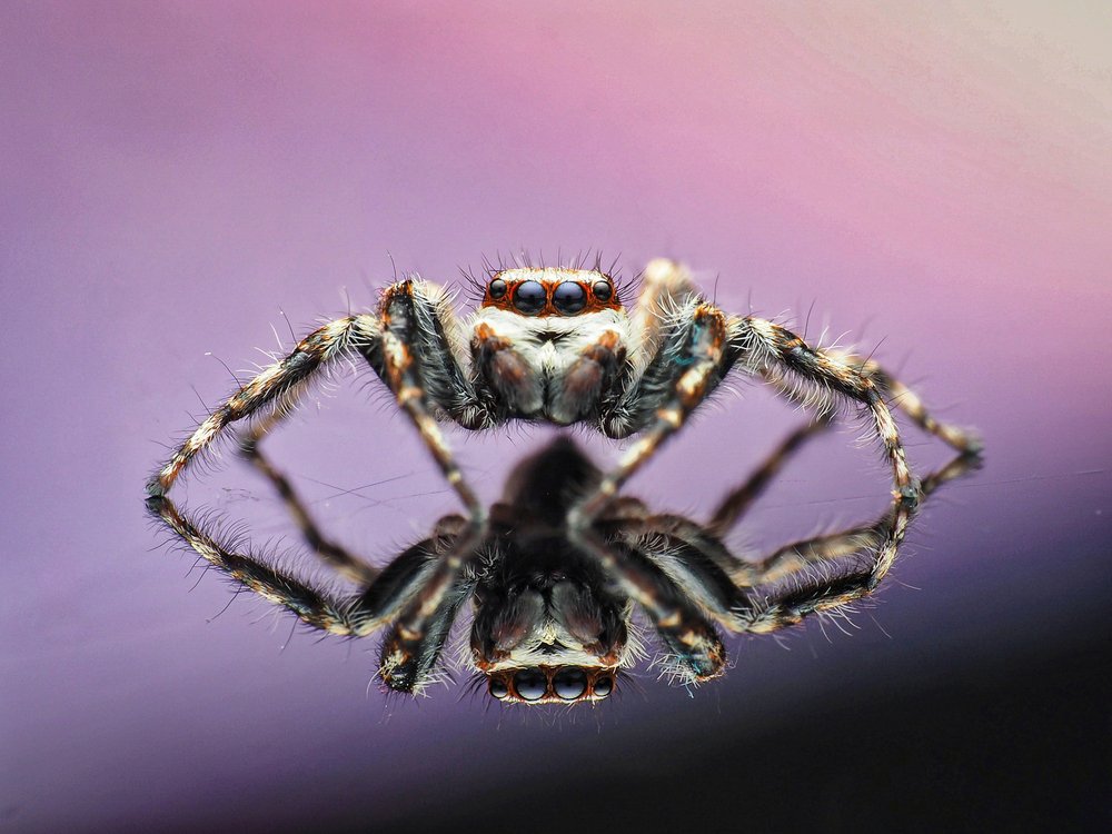 Photograph by Bario hadiprayogo