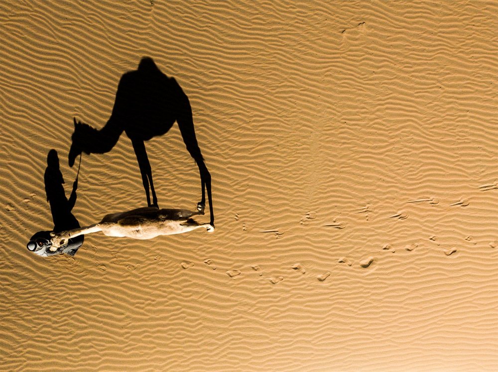 Photograph by Motaz AlAssi