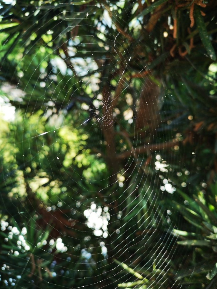 Photograph by Ирина Алексеевская