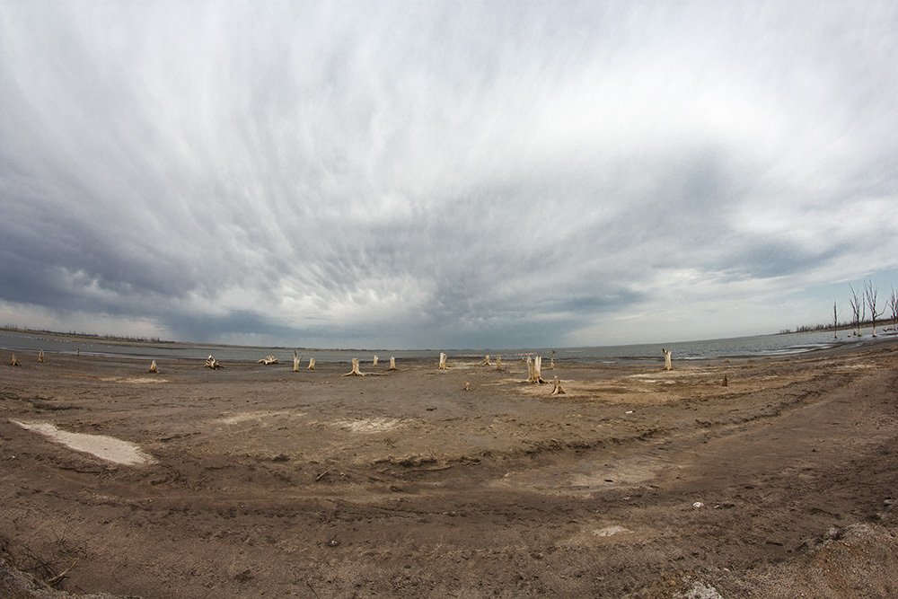 Photograph by Ricardo Pretta