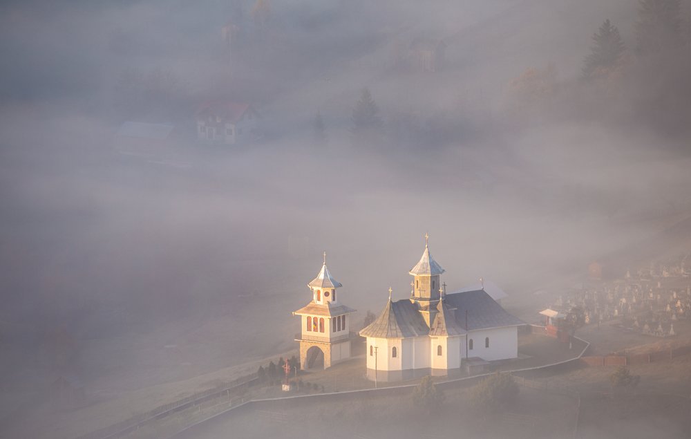 Photograph by  Camelia