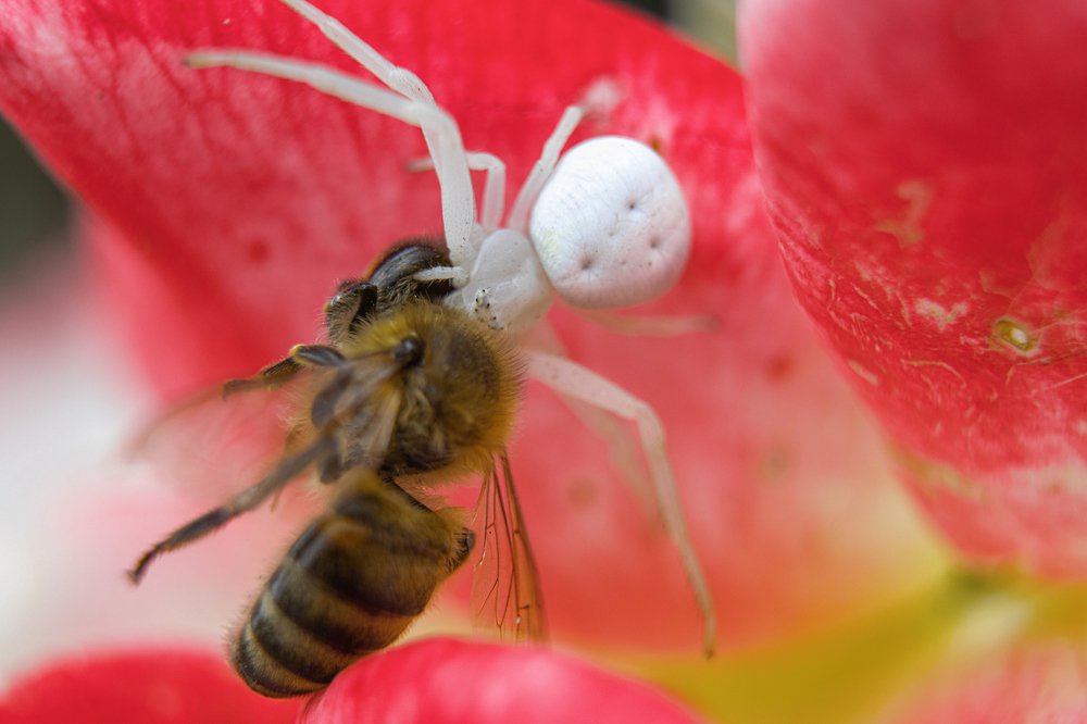 Photograph by Александр Иванов