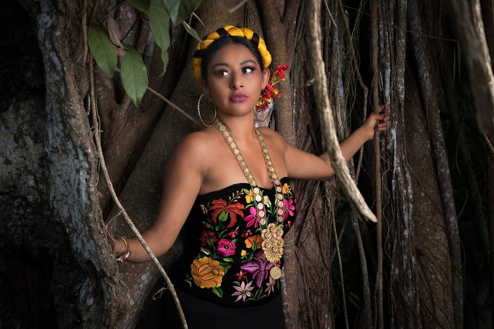 Ameyalli in the jungle