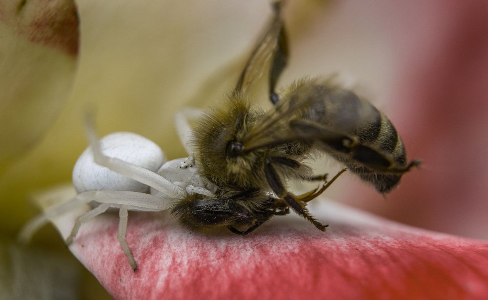 Photograph by Александр Иванов