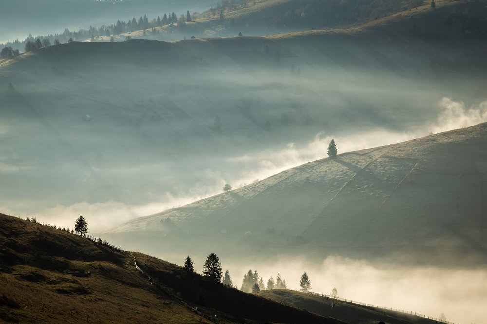 Photograph by  Camelia