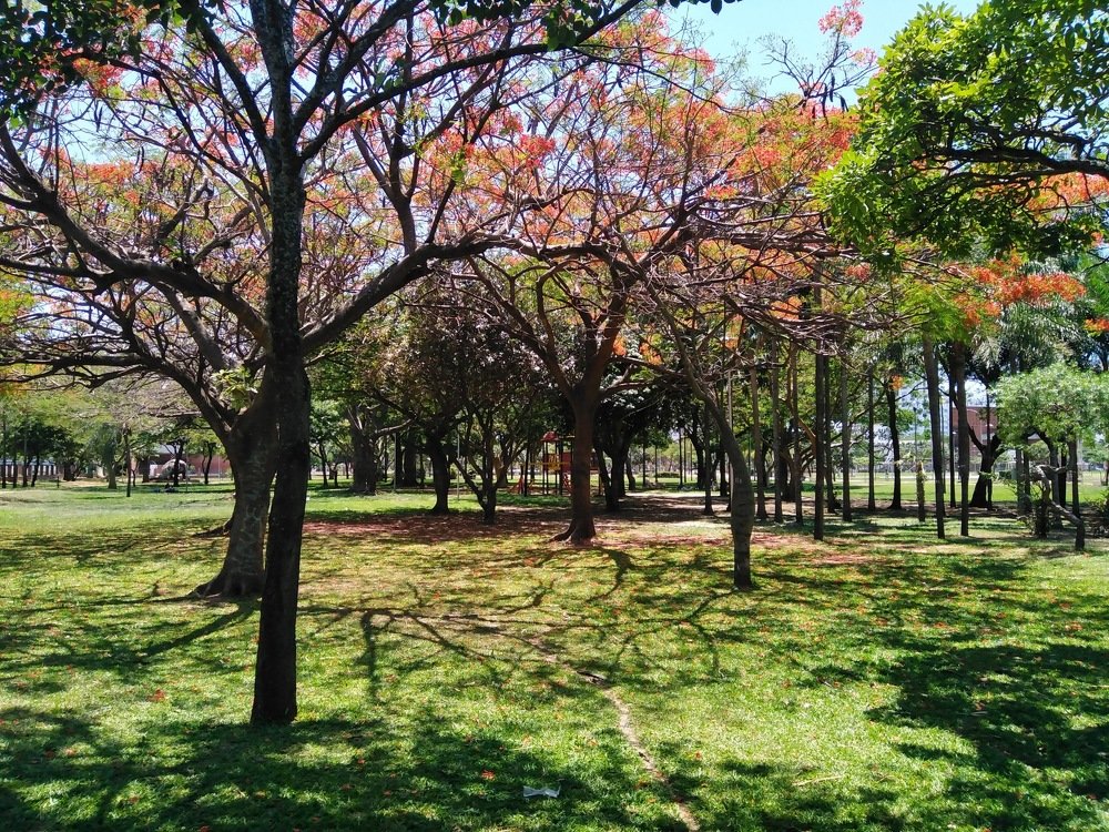 Photograph by Jose edwin Terceros merida