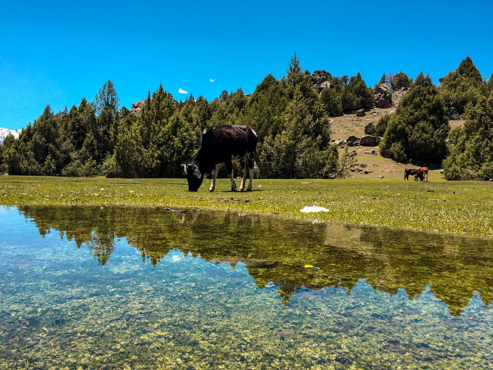 Photograph by Fiaz Ahmad