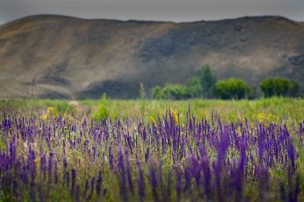 Photograph by петр чиков