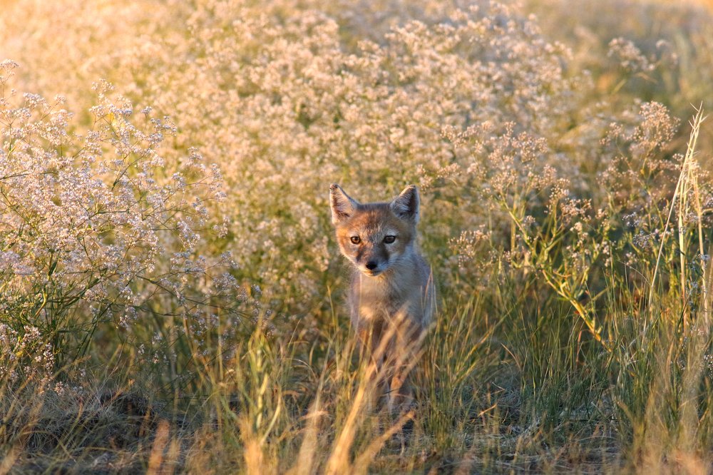Photograph by Михаил Степанов