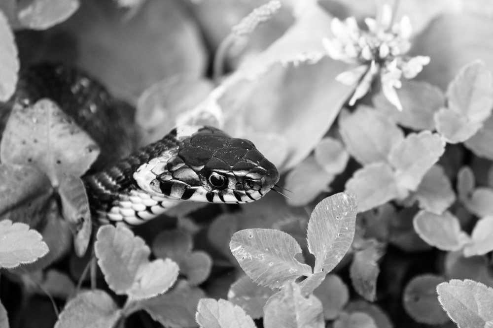 Photograph by Елена Верховская