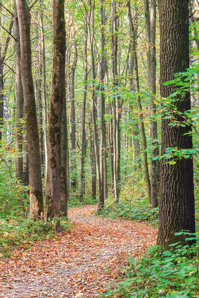 Photograph by Алексей Харламов