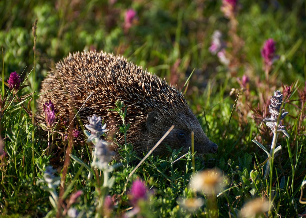 Photograph by Наталья Богач