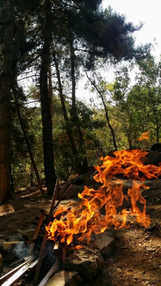 Photograph by Zohre sadat Lajevardi