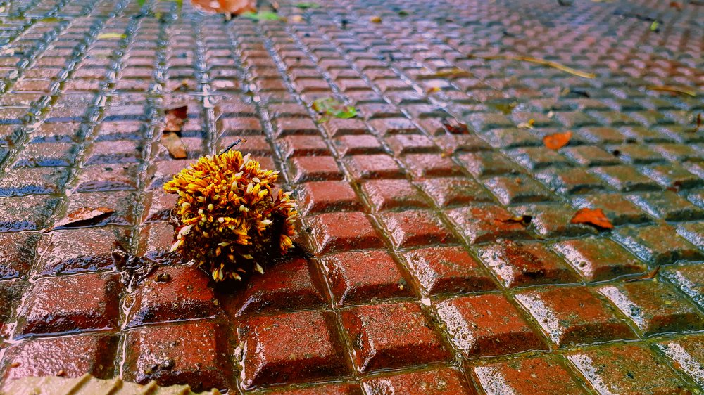 Photograph by Amit Kumar