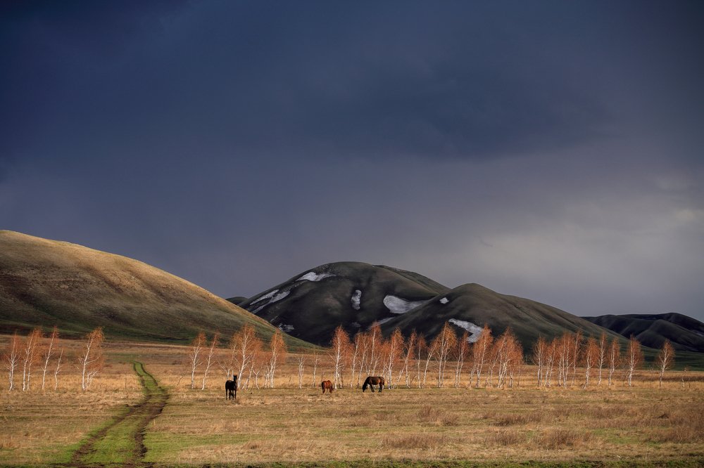 Photograph by Михаил Степанов