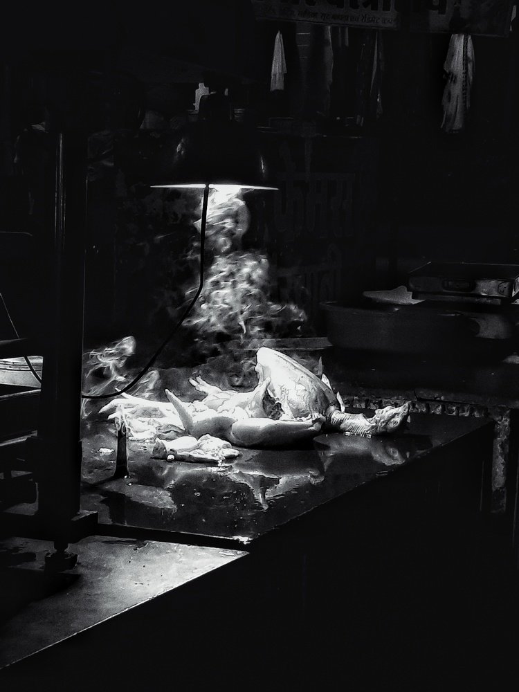 Photograph by Amit Kumar