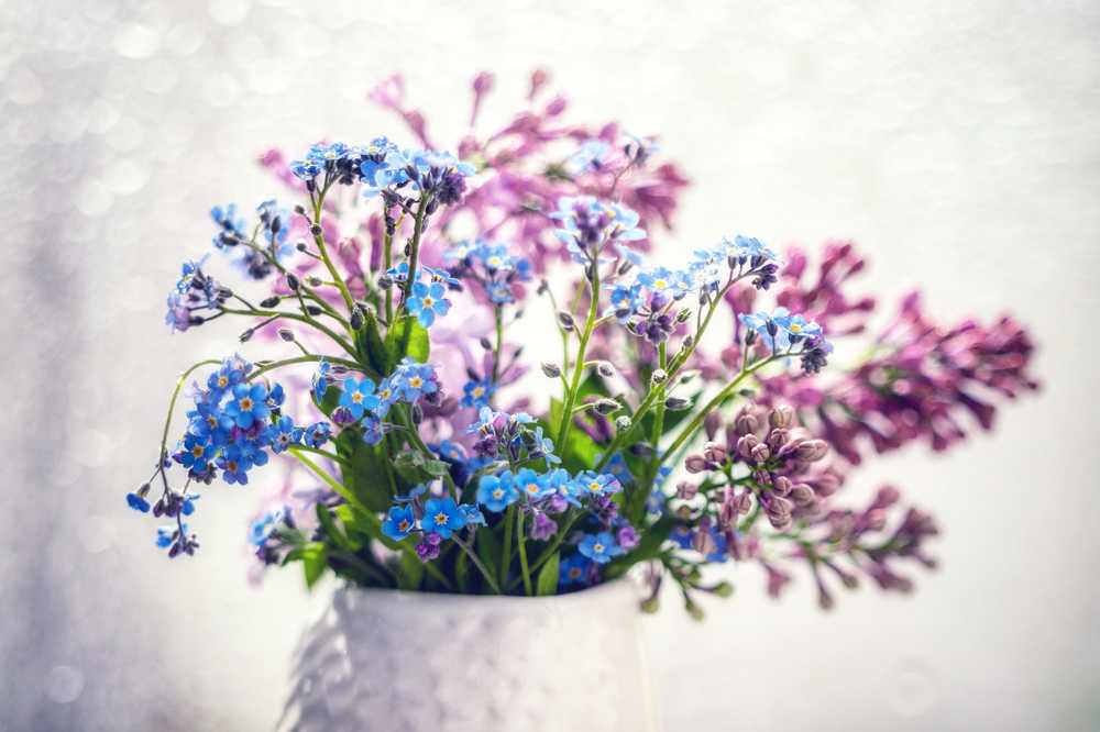 Photograph by Кирилл Кульган