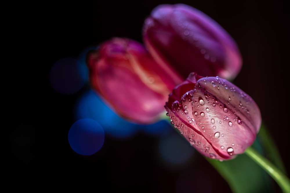 Photograph by Кирилл Кульган