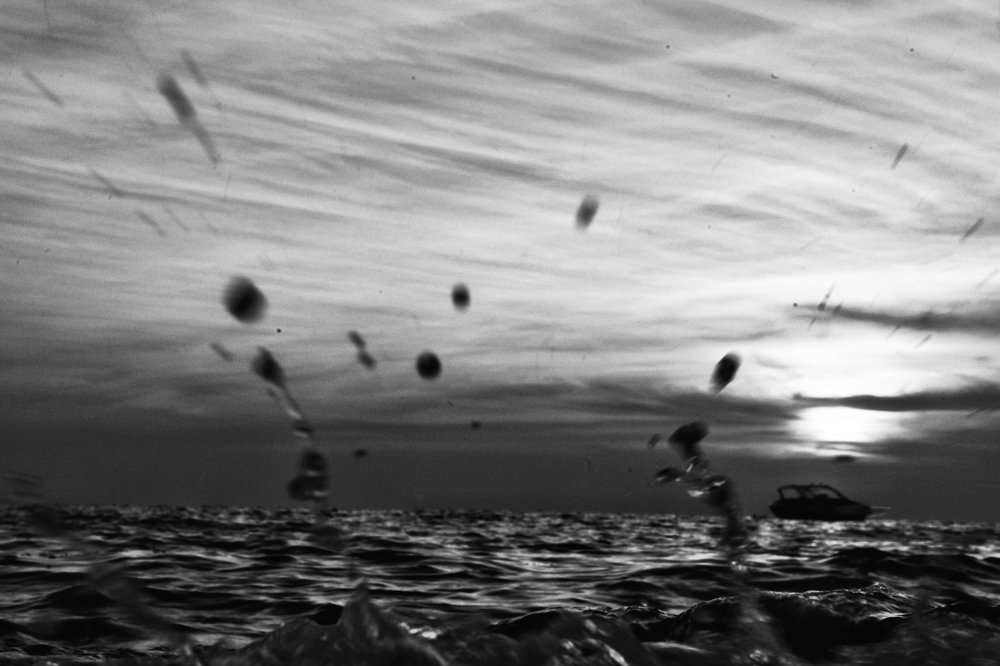 Photograph by Seyyed Mostafa Seyyedalhoseini
