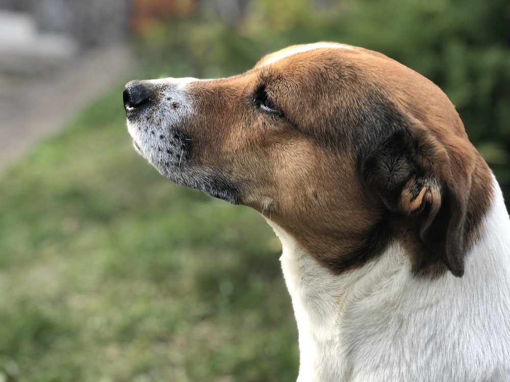 Photograph by Ольга Андрусив