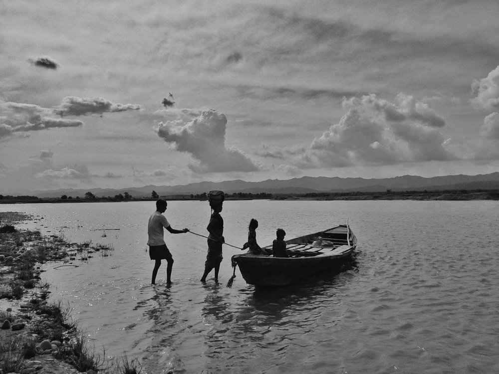Photo #4750483