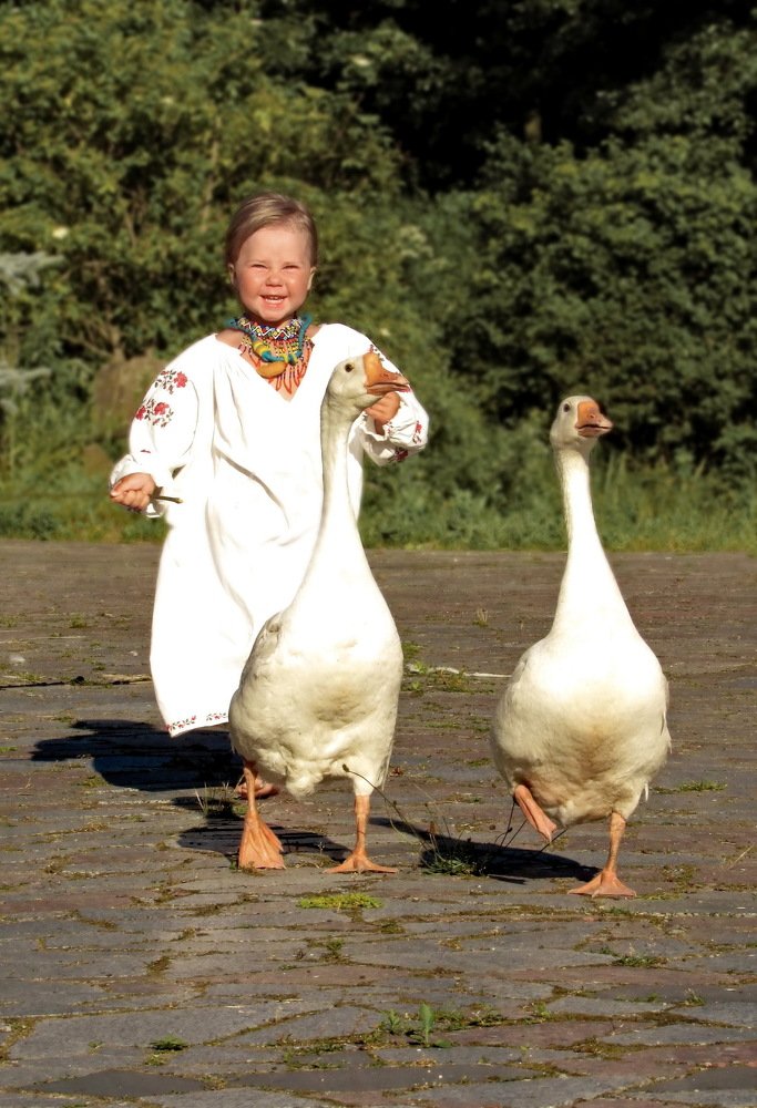 Photograph by Светлана Шмигельская