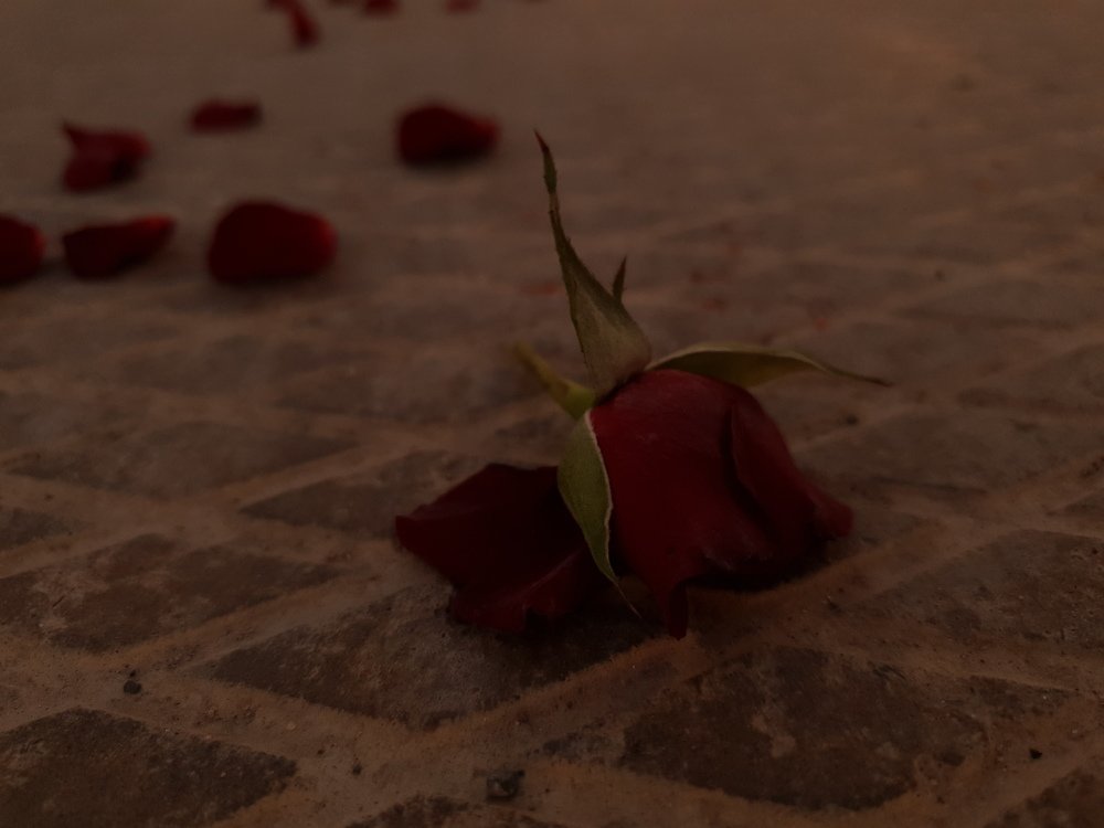 Photograph by Kamila Porsokhonova