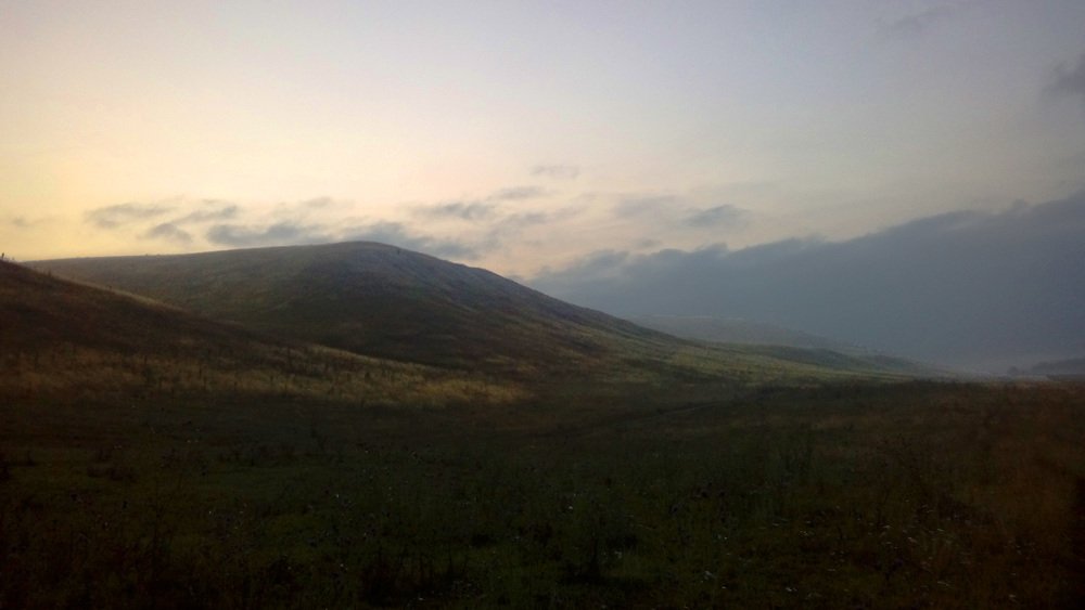 Photo #4750582