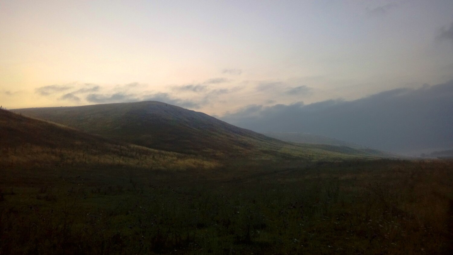 Photo #4750582