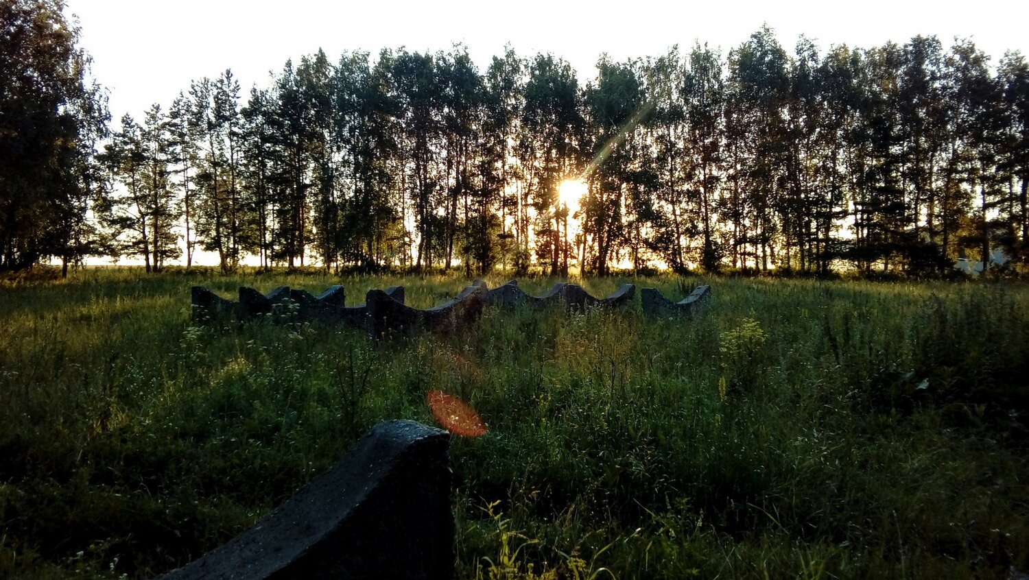 Photo #4750588