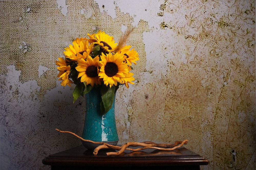 Фотография автора AYLIN EROZCAN