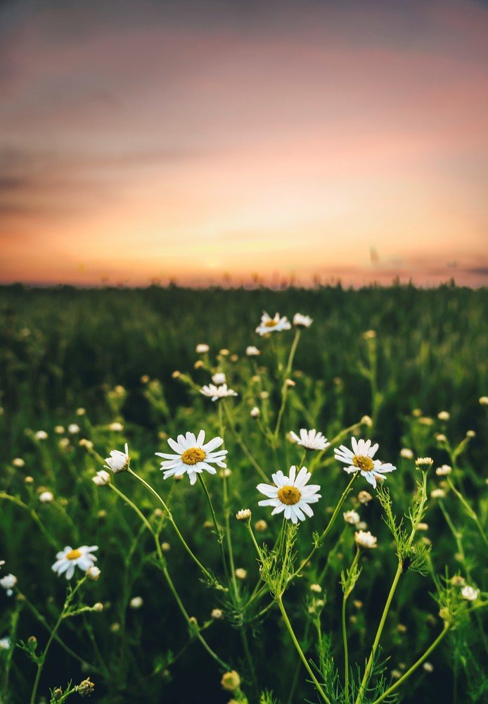 Photograph by Максим Мальцев